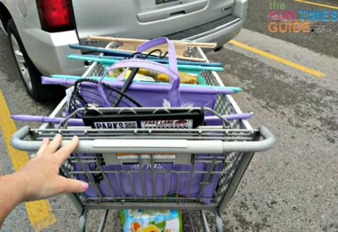 After my grocery shopping trip using the Lotus Trolley Bags.