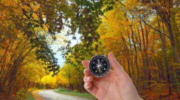 Tracking Autumn Leaves: The Best Fall Foliage Maps & Trackers For Each Colorful Region Of The U.S. In 2025
