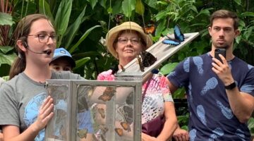 Butterfly Rainforest