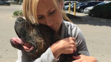 My Dog Has Cancer – See The Holistic Cancer Treatment For Dogs (Diet, Herbs & Supplements For Dogs With Cancer) That Worked For My Dog
