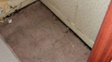 Filtration Soiling: Those Black Lines Around The Edges Of Carpet