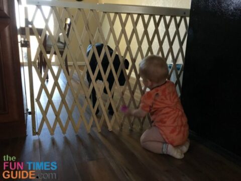 This is the pet gate / baby gate separating the dog mudroom area from the rest of the house. 