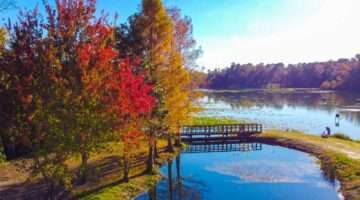 Fall Foliage In Florida? Yes, We Have It! (What Autumn In Florida Looks Like + Where The Florida Foliage Is Most Colorful)