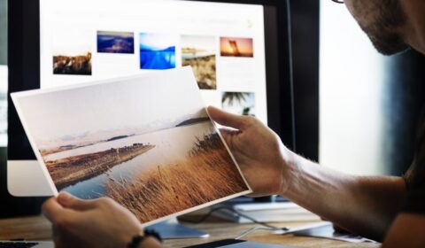 Best Places To Find Free Photos Online