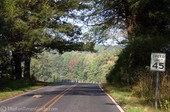 This is a picture I took... I was able to capture this creature scampering across the road in front of our car.