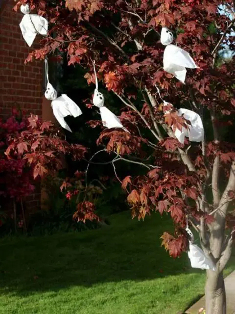 I like this idea of hanging white "ghosts" from a colorful red tree that is changing its Autumn colors. The white cloth ghosts moving in the breeze looks so fun!