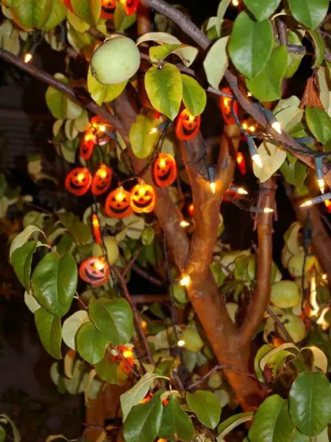 Here's an example of placing special Halloween lights (with pumpkins) in your outdoor trees.