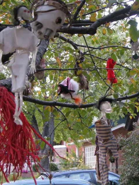 You can use ANYTHING that resembles Halloween in the "live trees" outside in your yard to make your own DIY Halloween tree.