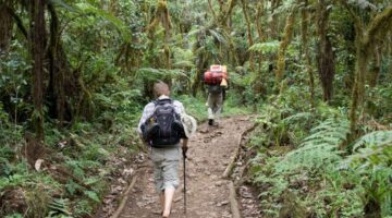 How You Can Help Save The Rainforest And Slow Global Warming