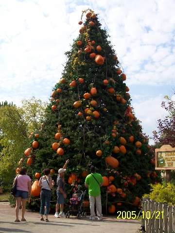 This large Halloween Christmas tree can be reproduced by using an artificial Christmas tree and large pumpkin shapes as ornaments.