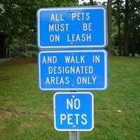No Pets… Not Here!