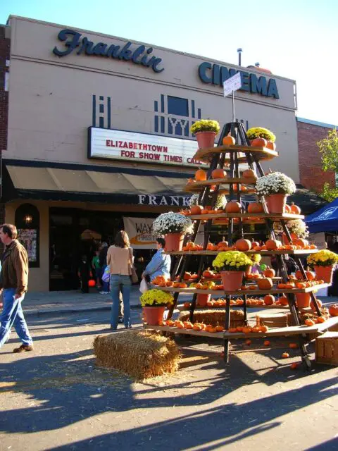 You don't even have to use an actual tree as the foundation of your DIY Halloween tree. Just arrange lightweight tables, shelves, or other metal forms into the shape of a tree. Then, place real live pumpkins on it!