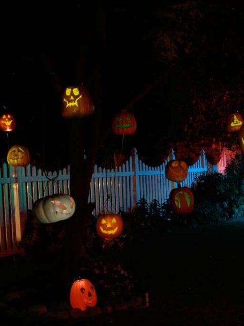 You could also just hang lighted Halloween pumpkins from the branches of a real live tree outside.