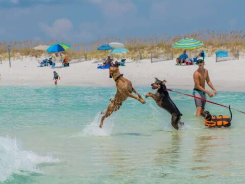 when-does-summer-end When does summer officially end in the United States? Find out here!